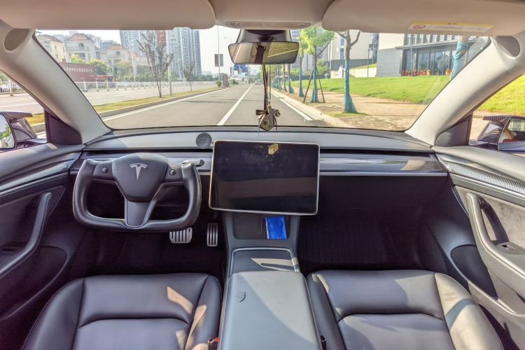 Tesla Model 3 2021 #13 Tesla Model 3 2021 car image #13