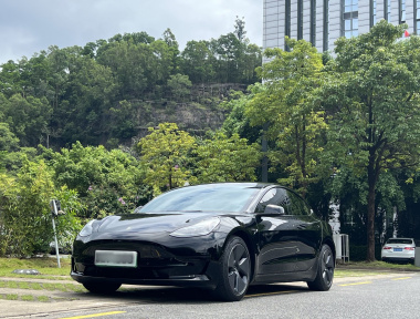 Tesla Model 3 2022 Tesla Model 3 2022 immagine di auto