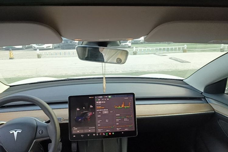 Tesla Model 3 2022 #20 Tesla Model 3 2022 car image #20