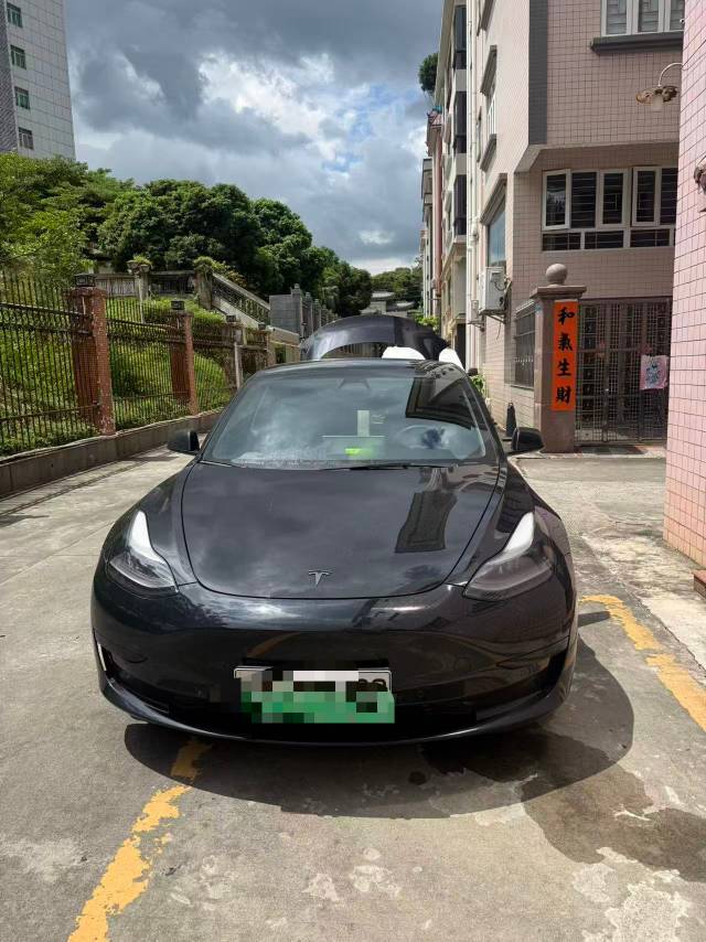 Tesla Model 3 2021 #2 Tesla Model 3 2021 car image #2