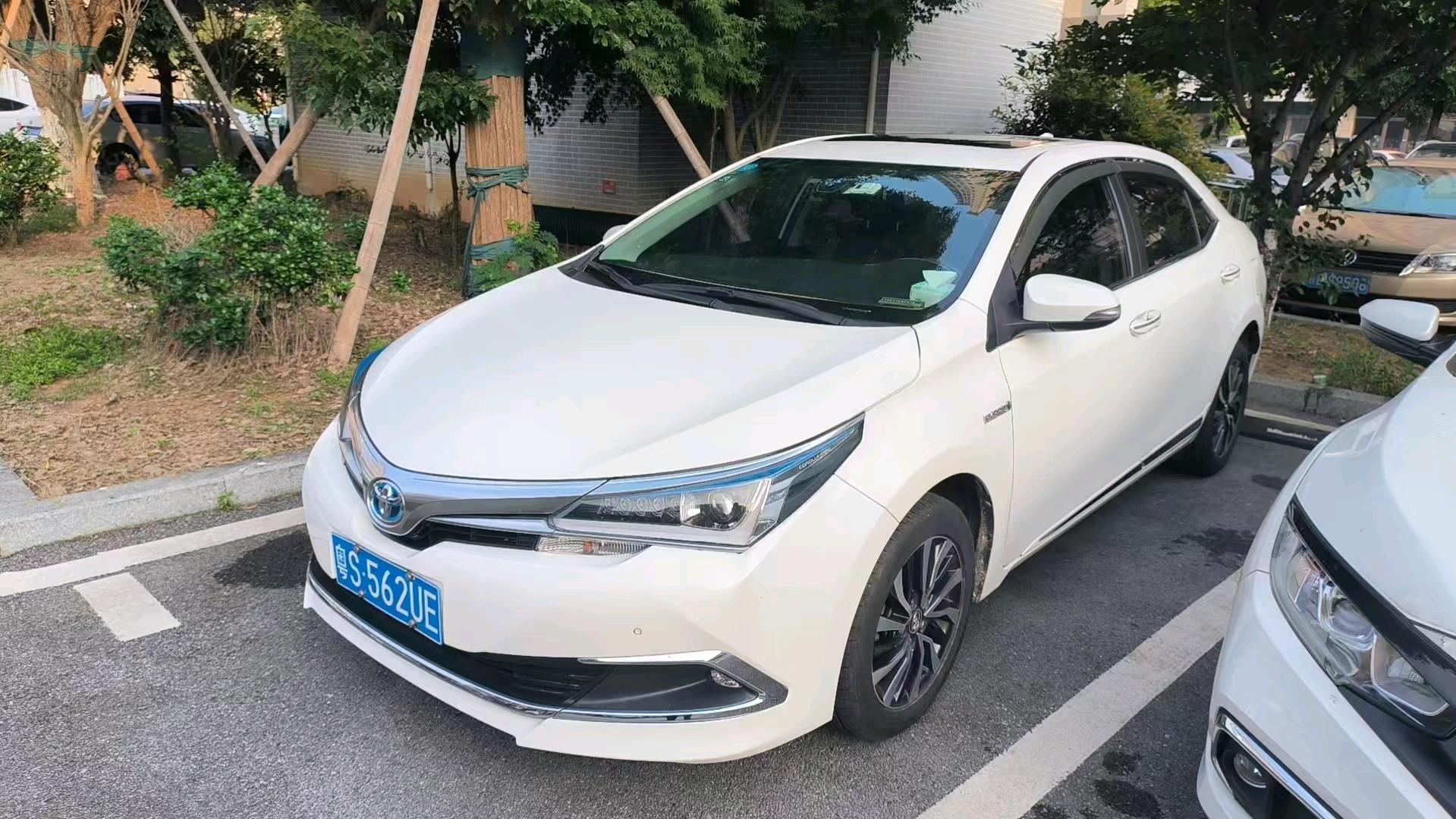 Toyota Corolla 2019 Toyota Corolla 2019 car image