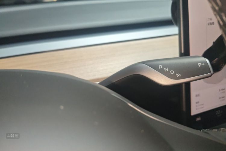 Tesla Model 3 2022 car image #16