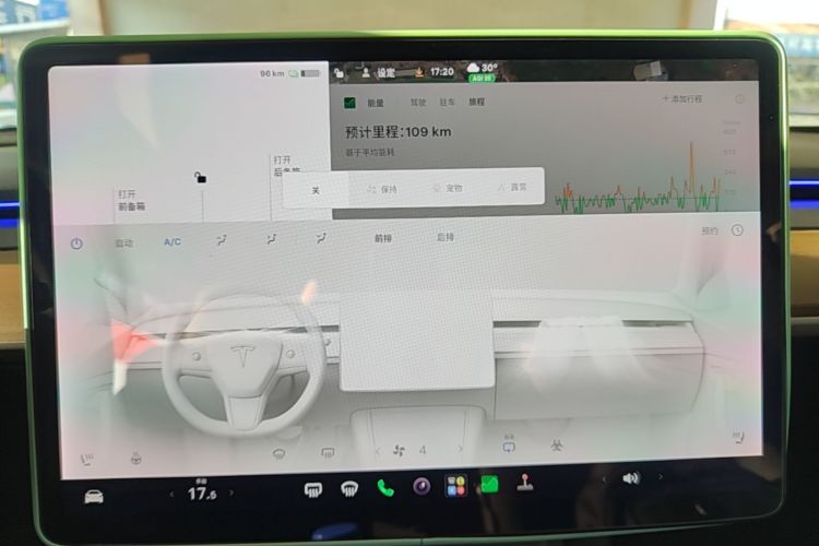 Tesla Model Y 2021 car image #13