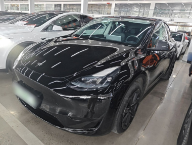Tesla Model Y 2023 car image 