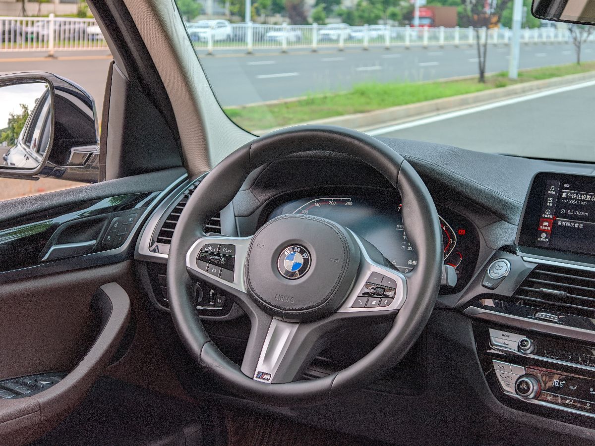 BMW X3 2020 #6 BMW X3 2020 car image #6
