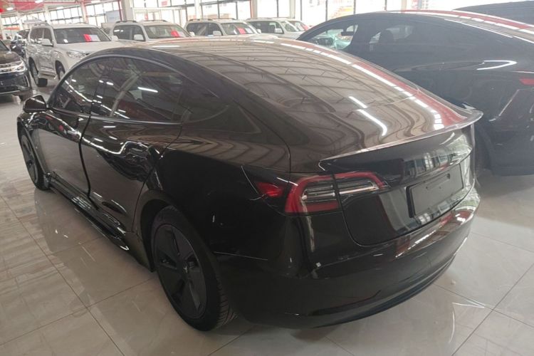 Tesla Model 3 2021 #5 Tesla Model 3 2021 car image #5