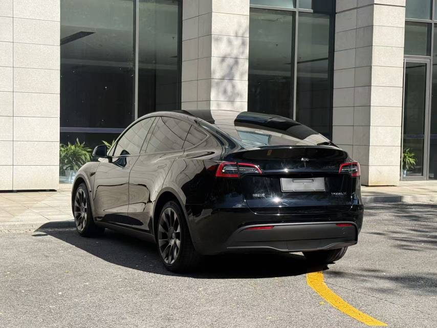 Tesla Model Y 2021 car image #9