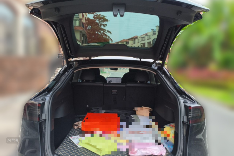 Tesla Model Y 2021 car image #21
