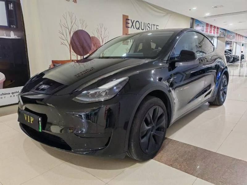 Tesla Model Y 2024 Tesla Model Y 2024 car image