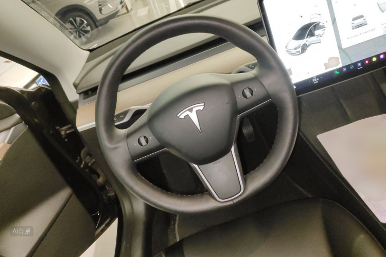 Tesla Model 3 2021 #12 Tesla Model 3 2021 car image #12