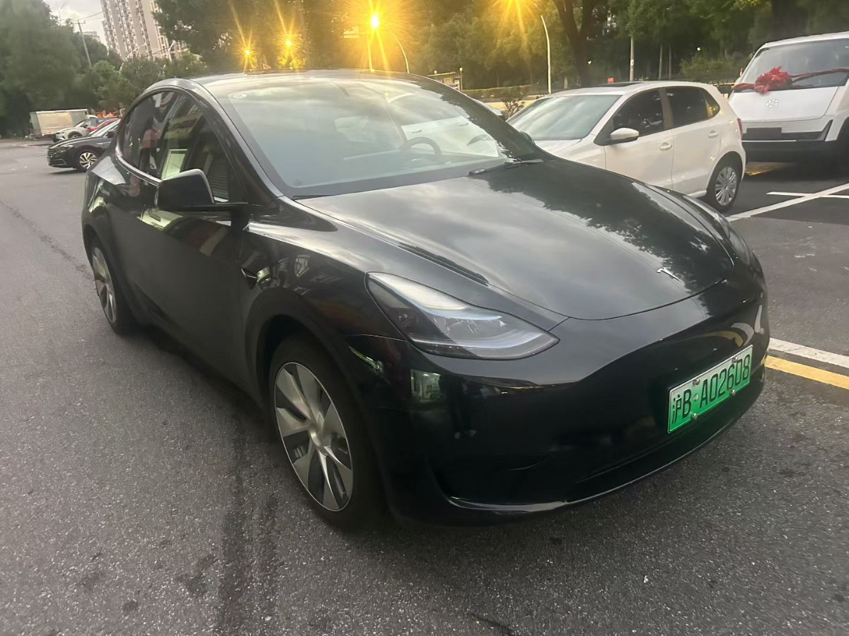 Tesla Model Y 2022 car image 