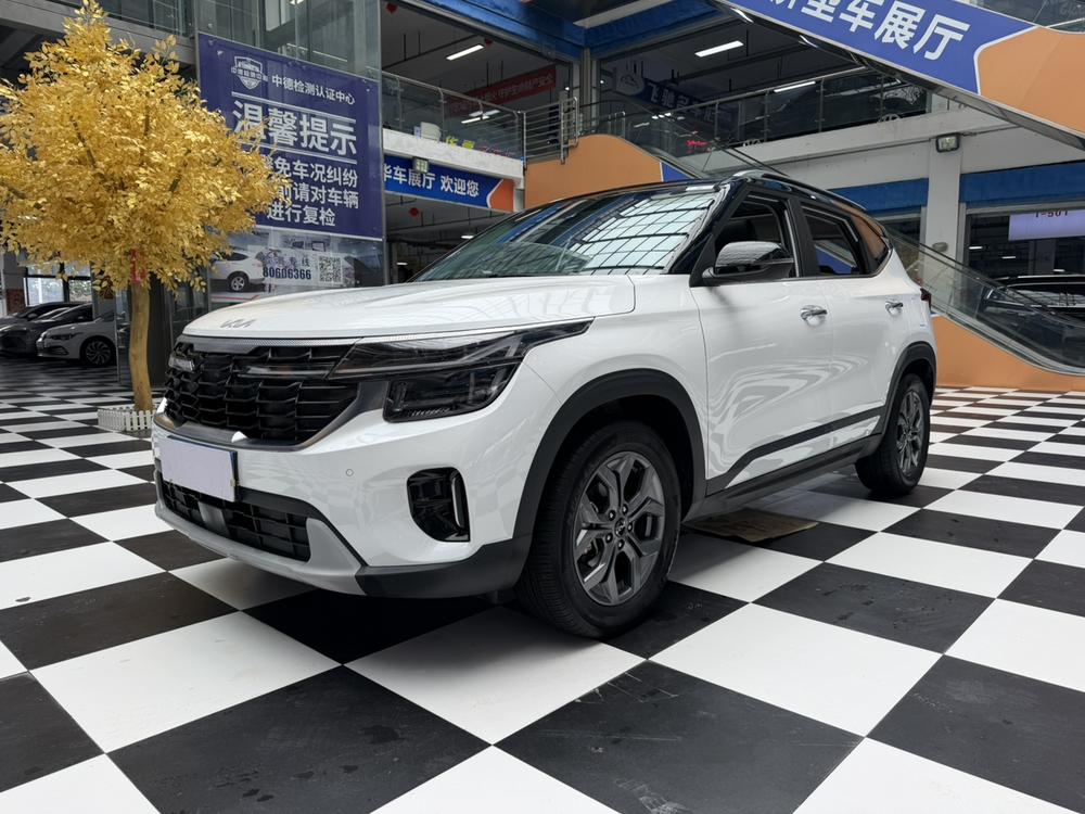 Kia Seltos 2023 car image 