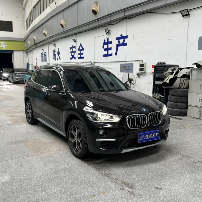 BMW X1 2019 BMW X1 2019 car image