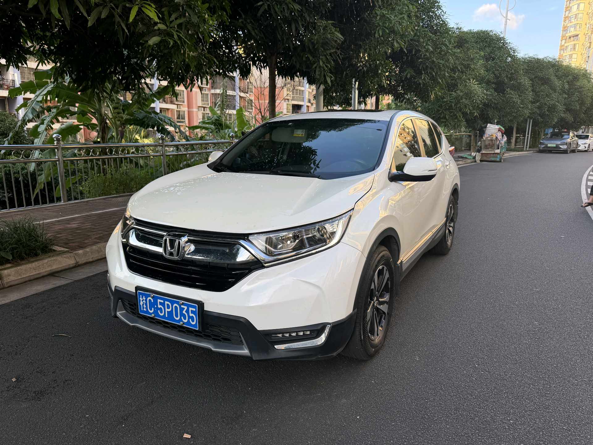 Honda CR-V 2019 Honda CR-V 2019 car image