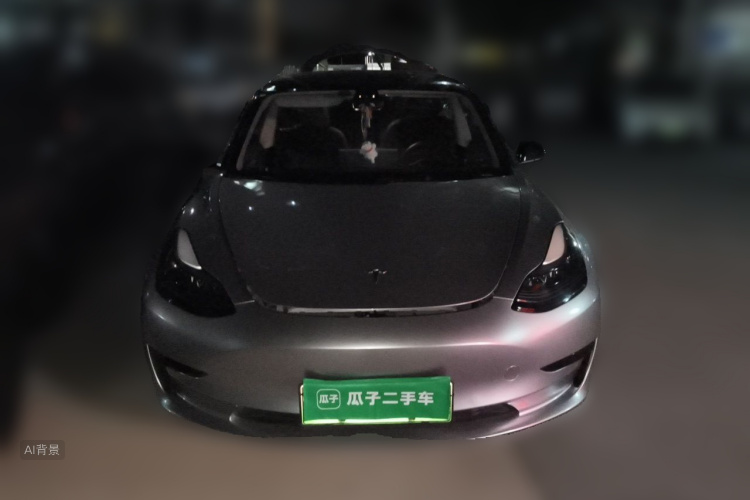 Tesla Model 3 2021 #3 Tesla Model 3 2021 car image #3