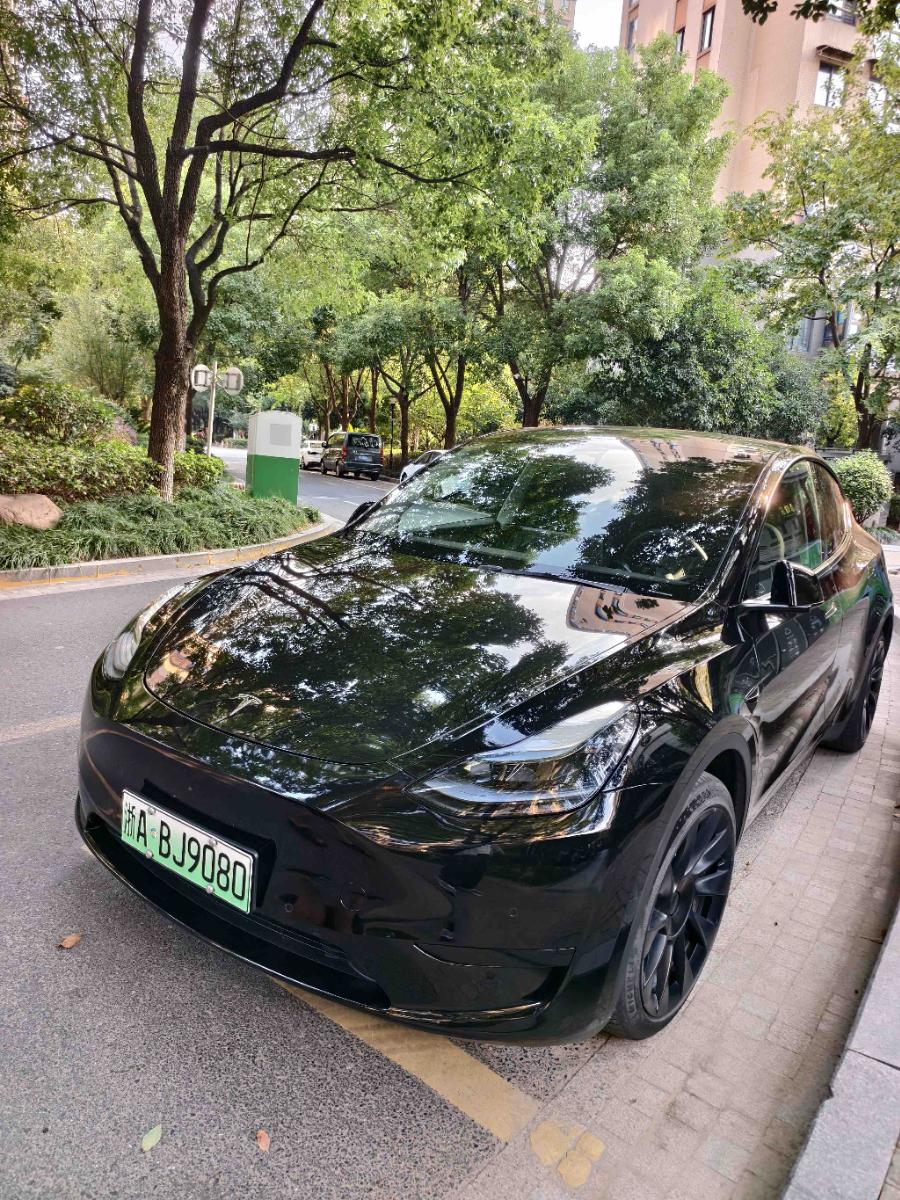 Tesla Model Y 2023 car image 