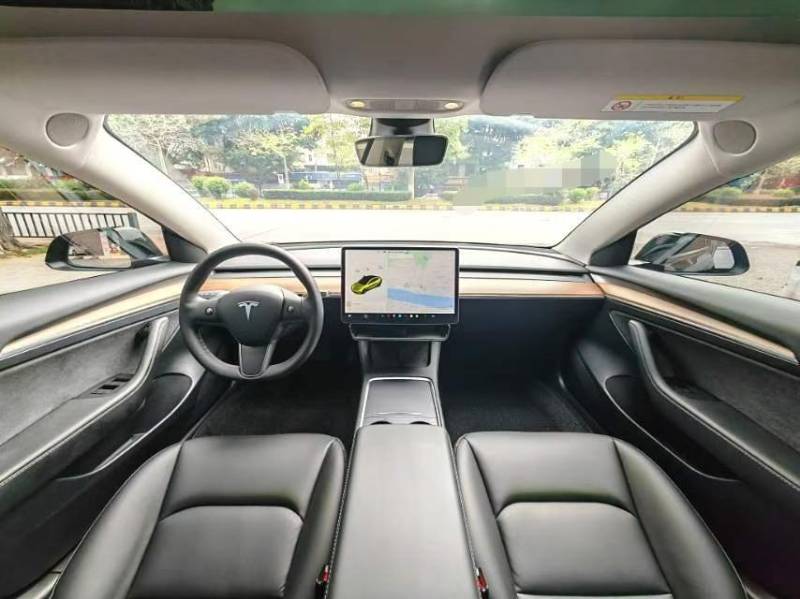 Tesla Model 3 2020 car image #8