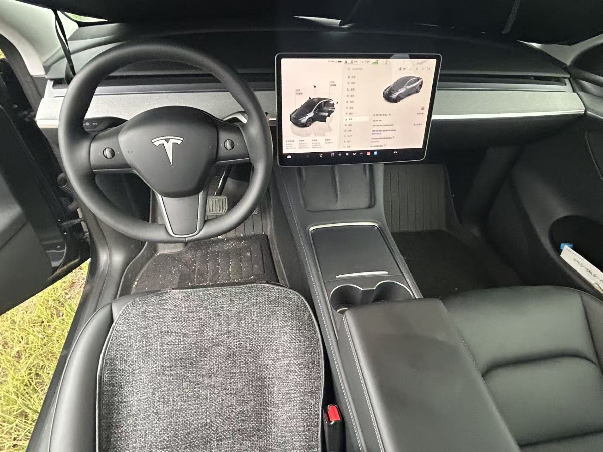 Tesla Model Y 2024 car image #2