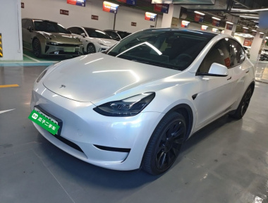Tesla Model Y 2022 Tesla Model Y 2022 car image