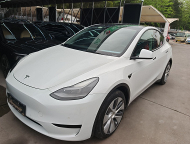 Tesla Model Y 2022 Tesla Model Y 2022 car image