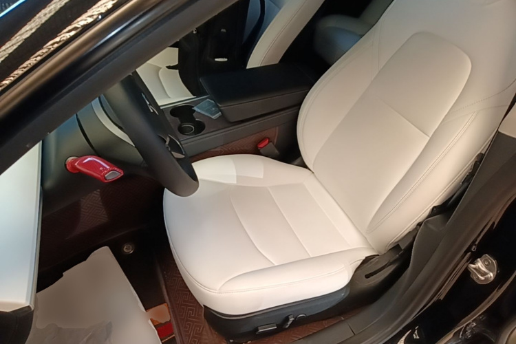 Tesla Model 3 2022 car image #15