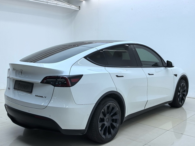 Tesla Model Y 2023 #7 Tesla Model Y 2023 car image #7