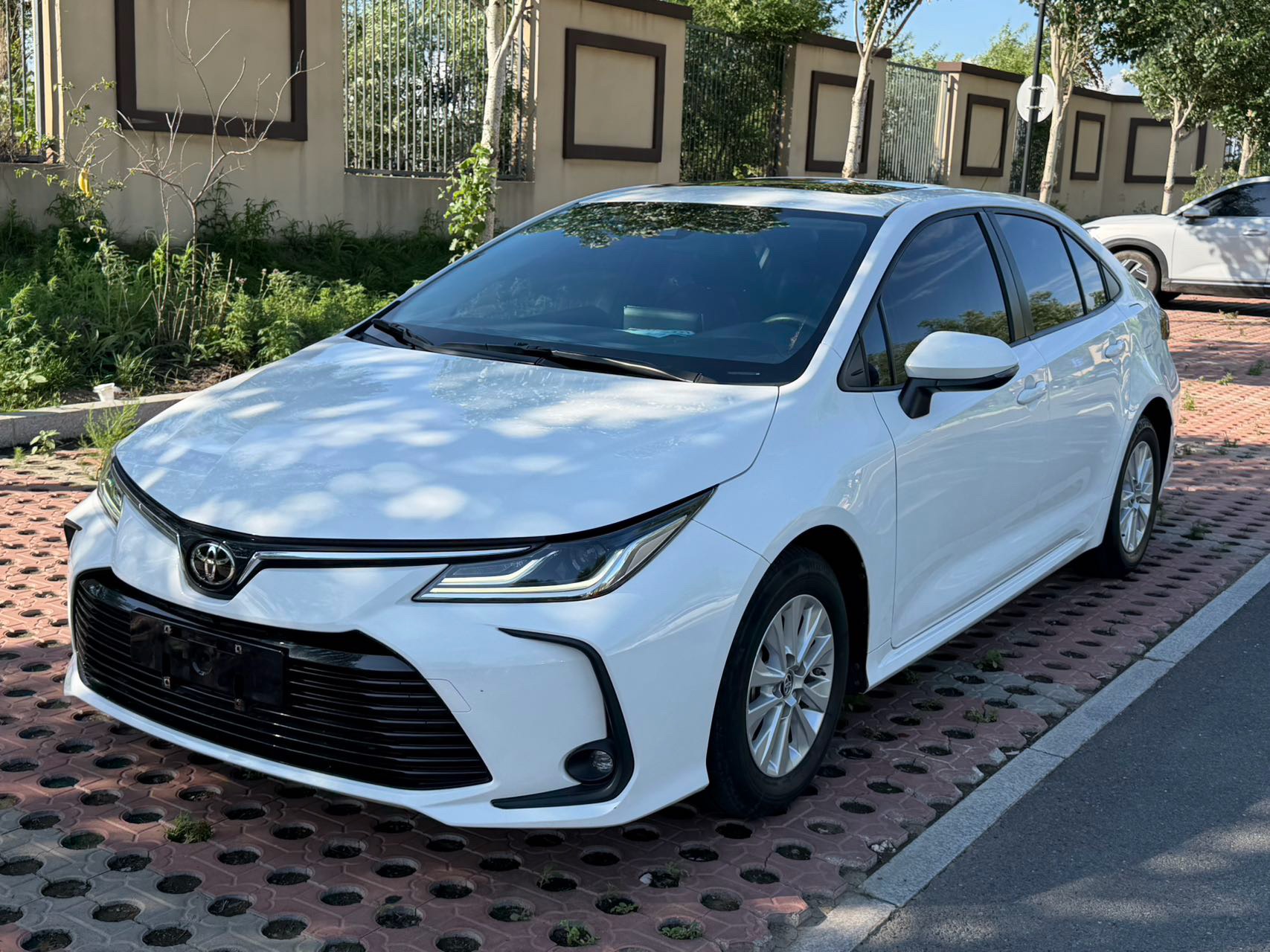 Toyota Corolla 2022 Toyota Corolla 2022 car image