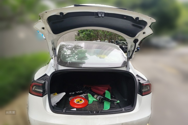 Tesla Model 3 2020 car image #21
