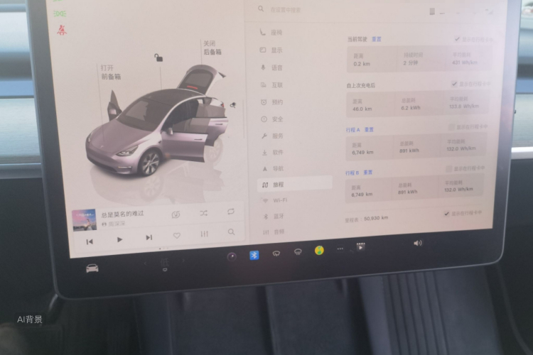 Tesla Model Y 2022 car image #13