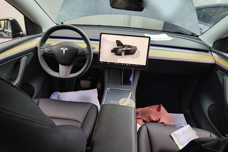 Tesla Model Y 2022 car image #10