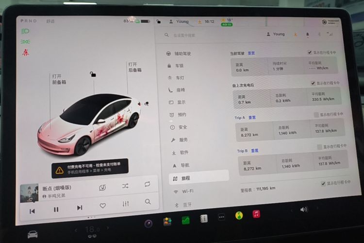 Tesla Model 3 2021 car image #16