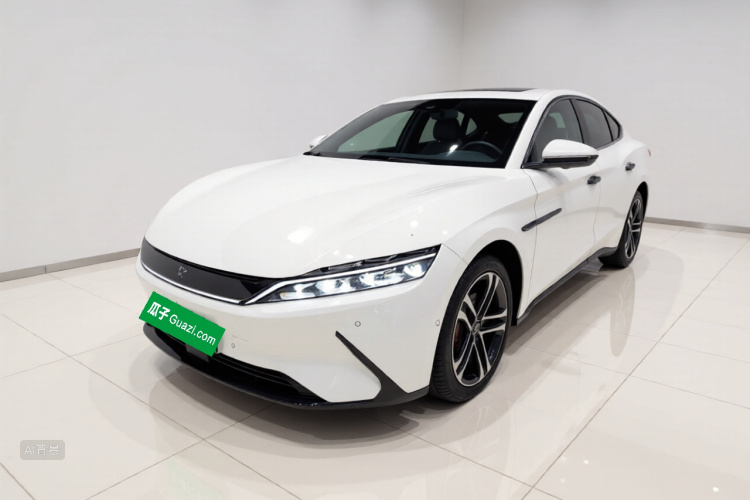 BYD Han 2022 immagine di auto #2