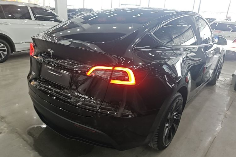 Tesla Model Y 2021 #7 Tesla Model Y 2021 car image #7