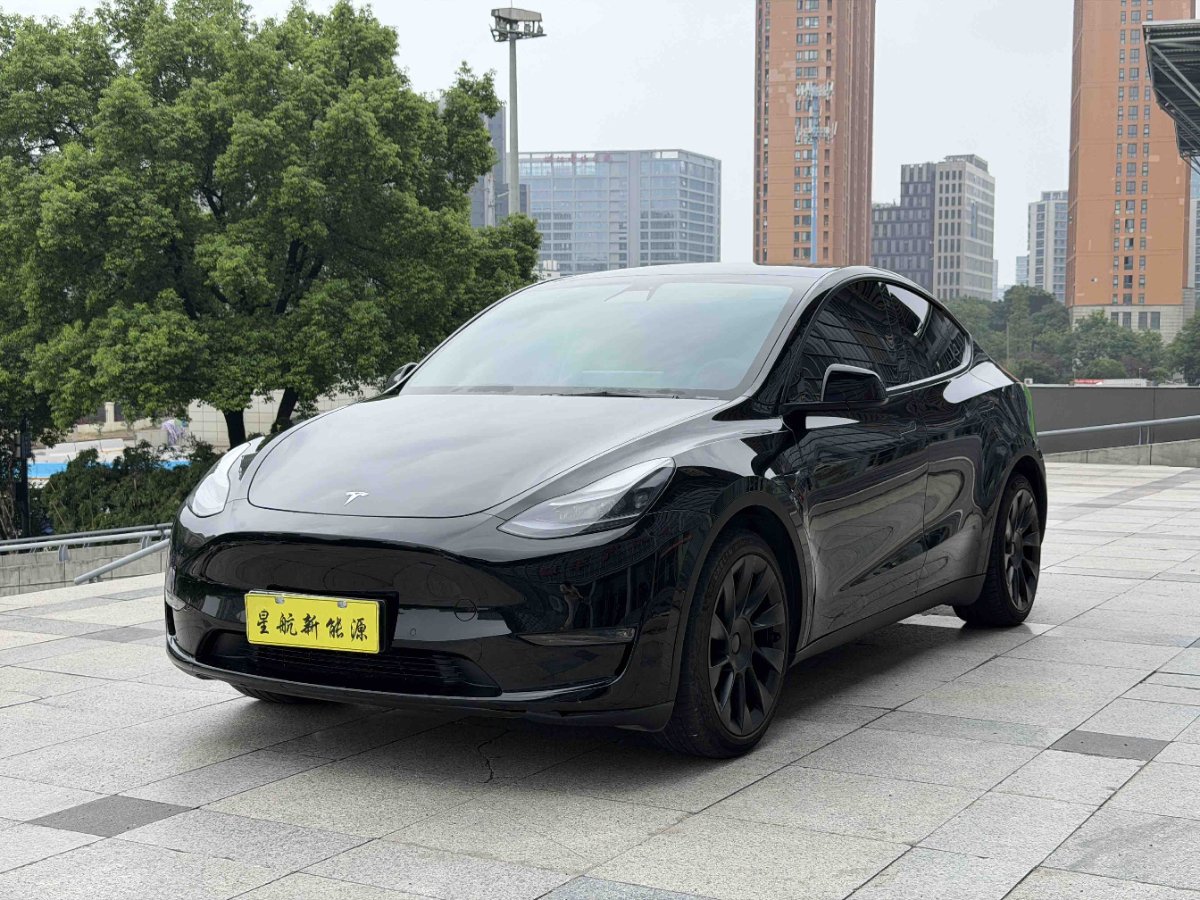 Tesla Model Y 2021 Tesla Model Y 2021 car image