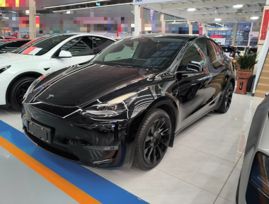 Tesla Model Y 2021 Tesla Model Y 2021 صورة سيارة