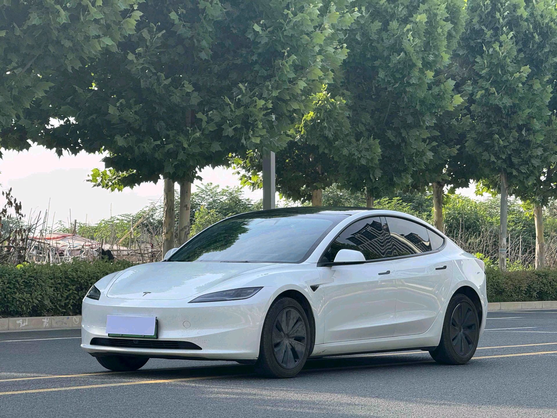 Tesla Model 3 2026 car image 