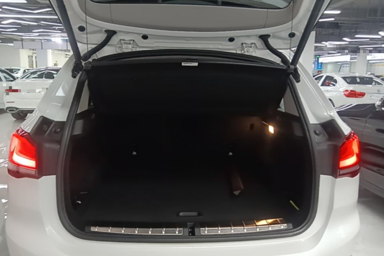 BMW X1 2020 car image #19