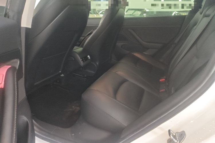 Tesla Model 3 2020 #17 Tesla Model 3 2020 car image #17