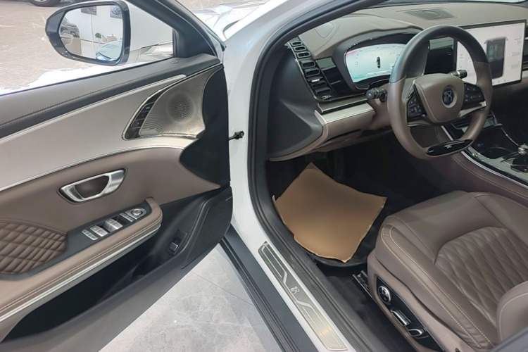 BYD Han 2022 car image #18