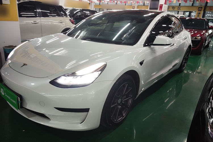 Tesla Model 3 2020 #2 Tesla Model 3 2020 car image #2