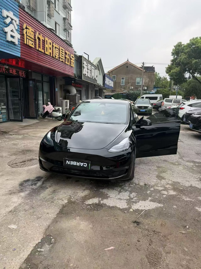 Tesla Model Y 2022 Tesla Model Y 2022 car image