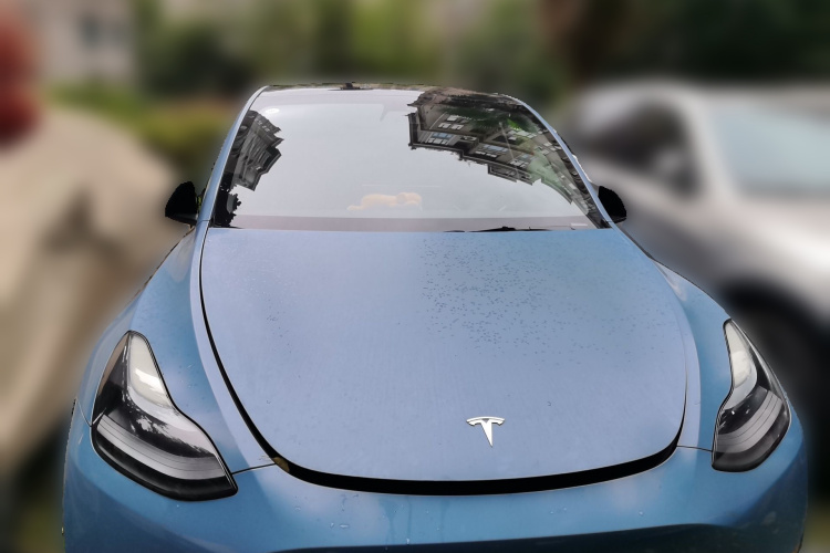 Tesla Model Y 2021 #3 Tesla Model Y 2021 car image #3