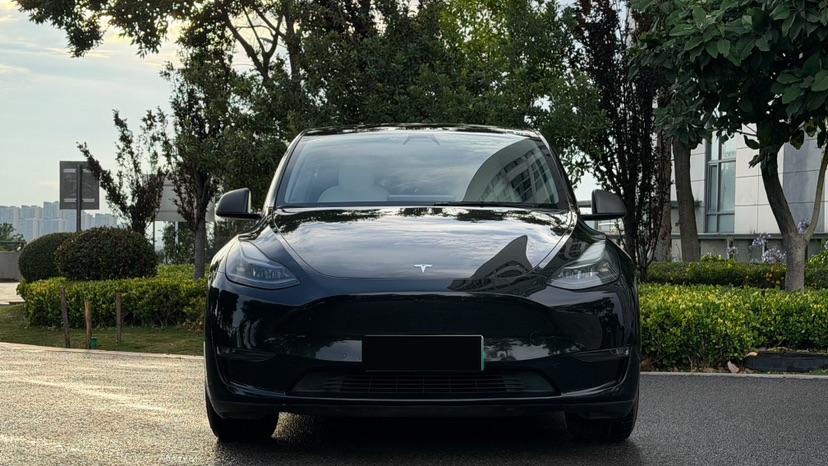 Tesla Model Y 2021 #2 Tesla Model Y 2021 car image #2