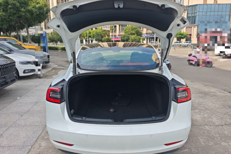 Tesla Model 3 2021 #19 Tesla Model 3 2021 car image #19