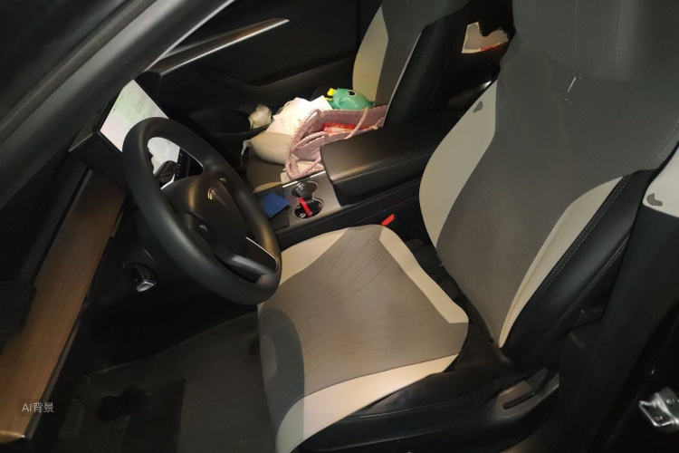 Tesla Model 3 2023 car image #17