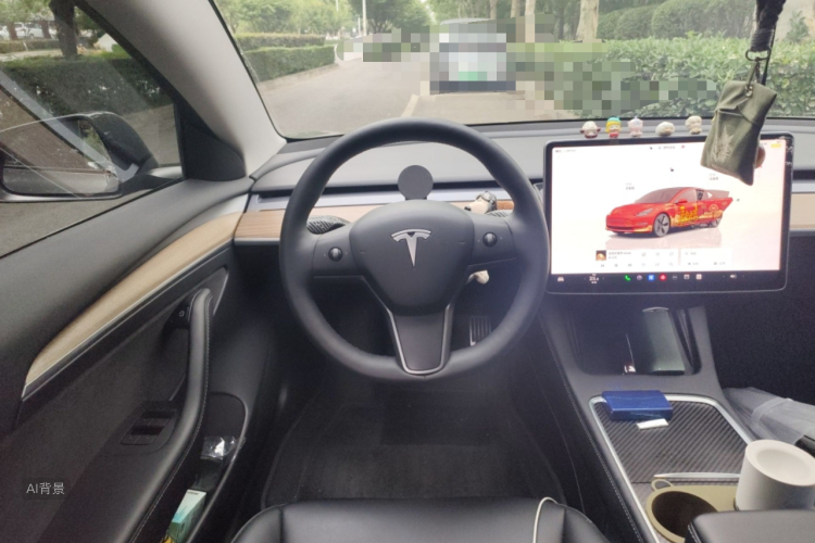 Tesla Model 3 2023 immagine di auto #12