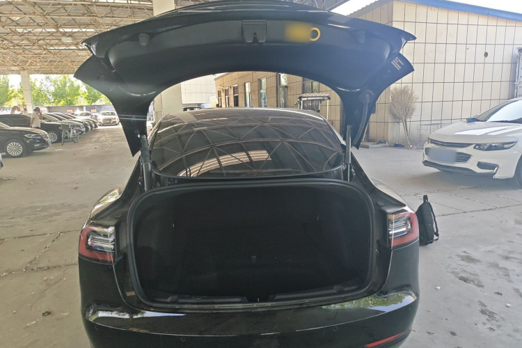 Tesla Model 3 2021 #19 Tesla Model 3 2021 immagine di auto #19