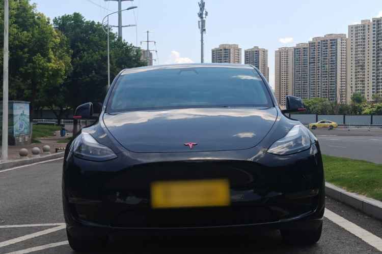 Tesla Model Y 2021 #6 Tesla Model Y 2021 car image #6