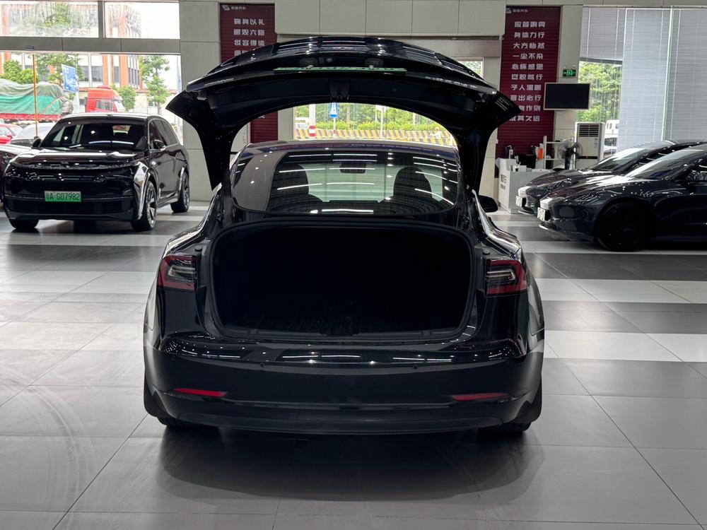 Tesla Model 3 2023 car image #14
