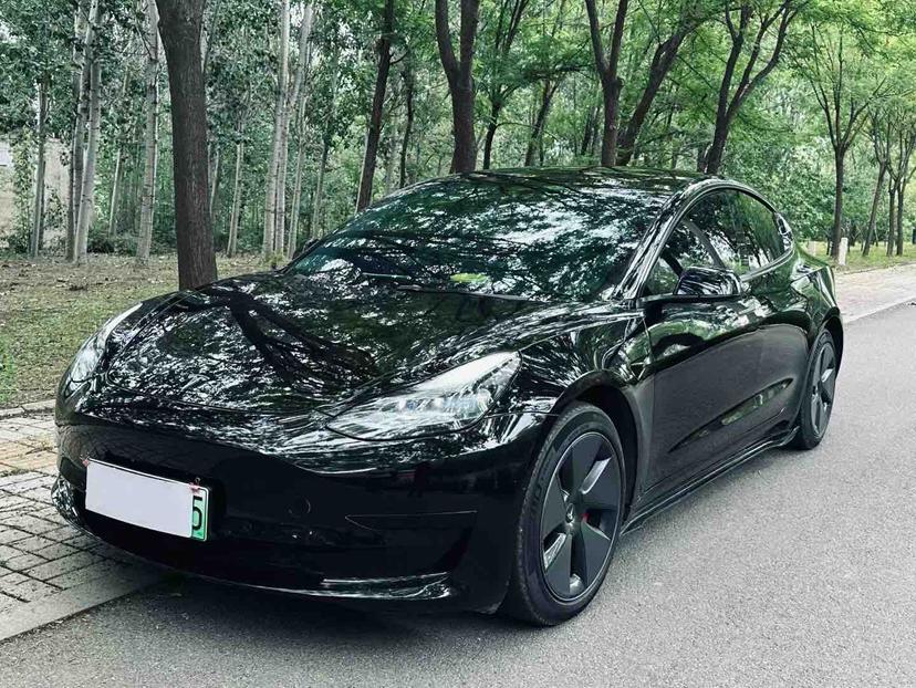 Tesla Model 3 2020 car image 